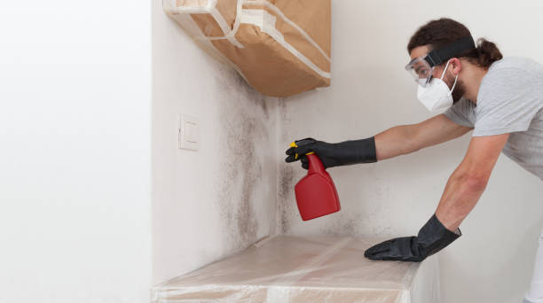 Professional Mold Remediation technician working in Bunnlevel, NC
