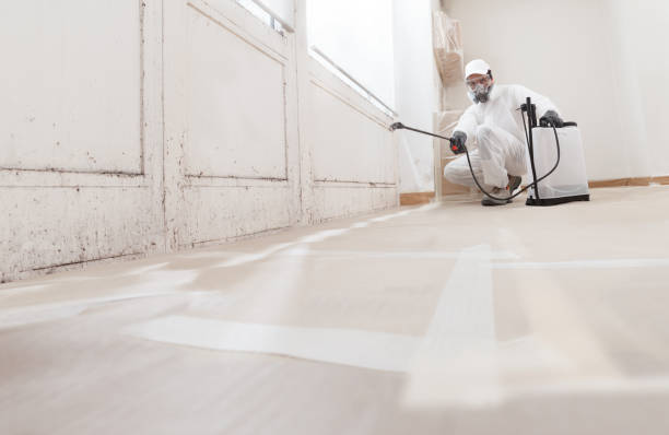 24/7 Emergency Mold Remediation experts in Bunnlevel, NC