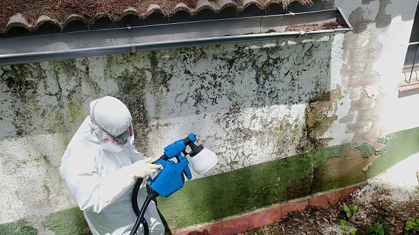Top rated local Mold Remediation specialists in Bunnlevel, NC